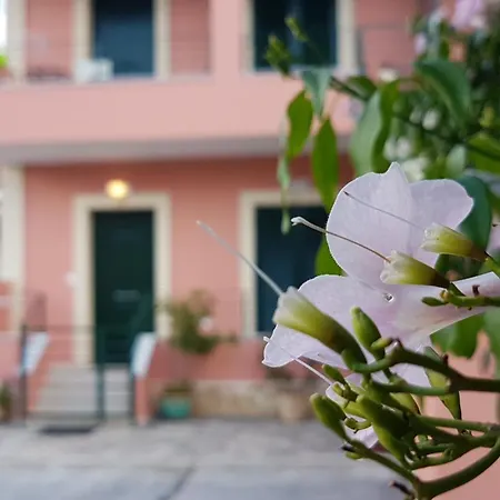 Διαμέρισμα Filoxenia Corfu Dahlia And Jasmine